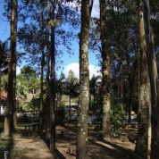 Aquele Gostinho de Infância e o tal do Turismo Rural