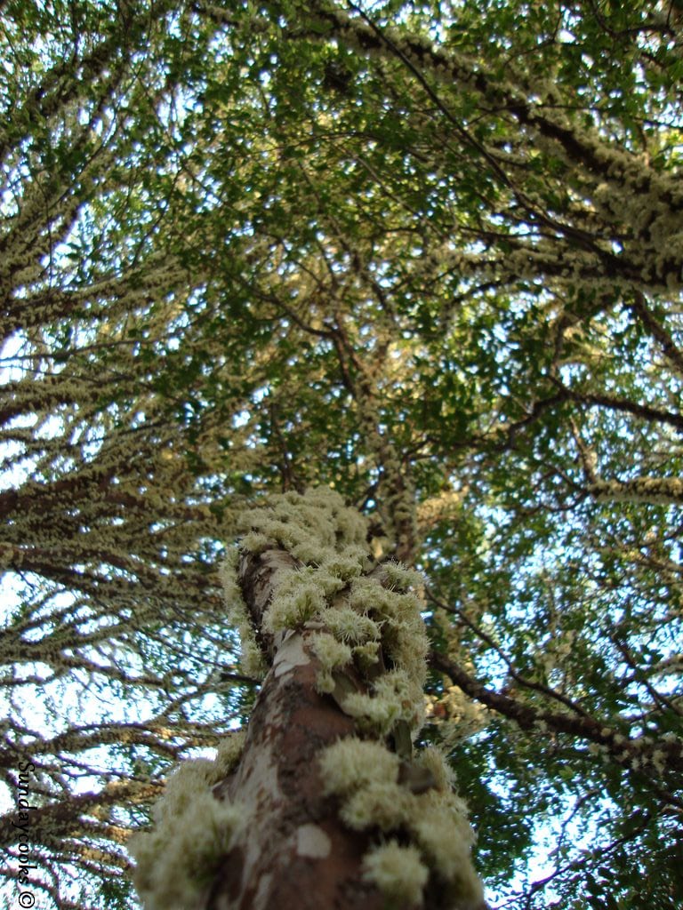 DSC00570