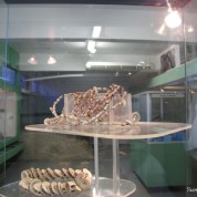 Entre Grand Jetes e Chocolates