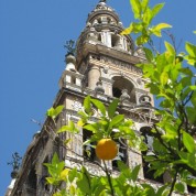 Catedral de Sevilha e a Torre da Giralda