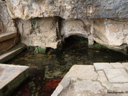 Coimbra - fonte Inês de Castro