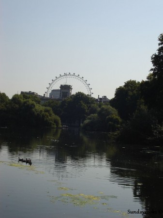 vista da london eye