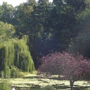 Os parques de Londres