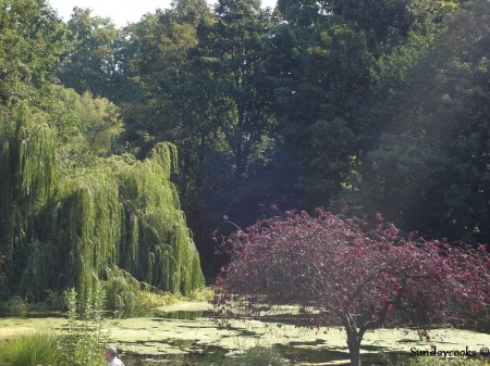 st james park