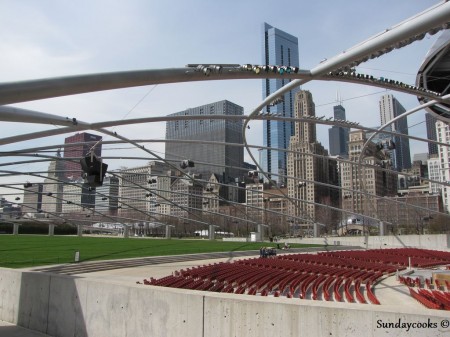 Millenium Park Chicago Millenium Park Chicago