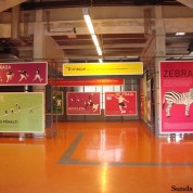 Museu do Futebol e o Pastel de Feira