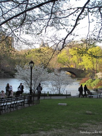 New York Central Park