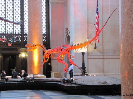 American Museum of Natural History New York American Museum of Natural History New York