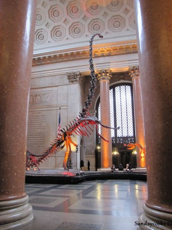 American Museum of Natural History New York American Museum of Natural History New York