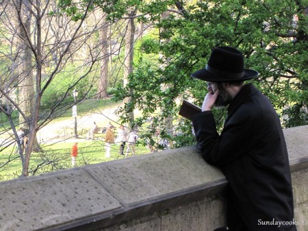Roteiro de Nova York - Cenas do Central Park Roteiro de Nova York - Cenas do Central Park