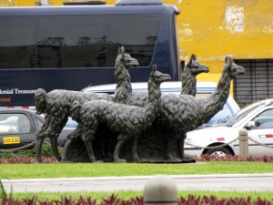 O que fazer em Lima: Llama, llama, llama