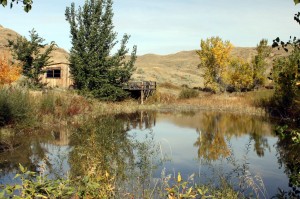 La Reata Ranch - Lago