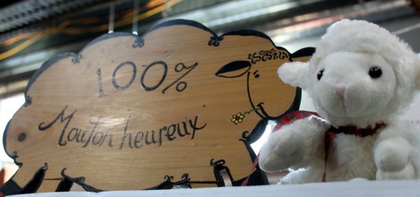 Mercados em Montreal - 100% ovelha Mercados em Montreal - 100% ovelha