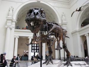 Field Museum Chicago T-rex