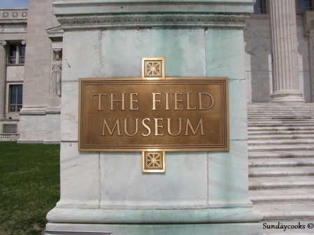 Field Museum Chicago