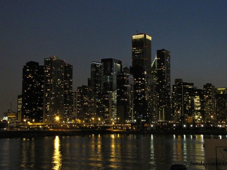 Outras atrações em Chicago - Skyline de Chicago