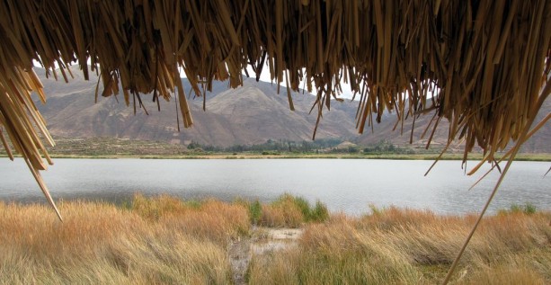 Valle Sagrado - Huaton - ponto de observação de aves