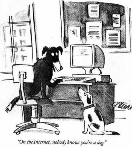 Como evitar golpes na Internet - The New Yorker cartoon