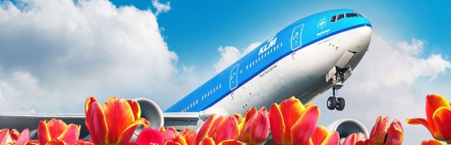 Dicas KLM Viagem - aviao