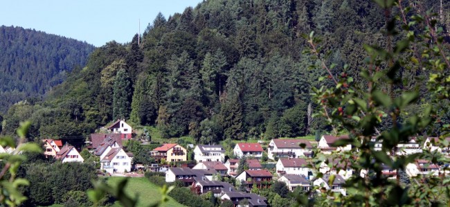 Baden-Baden e a Floresta Negra - no caminho 3