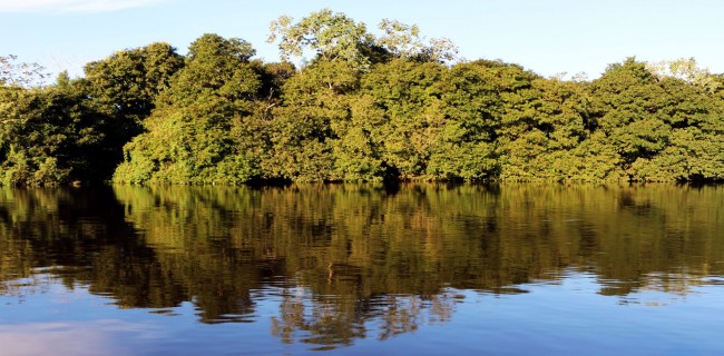 ABC do Pantanal - rio Paraguai 6