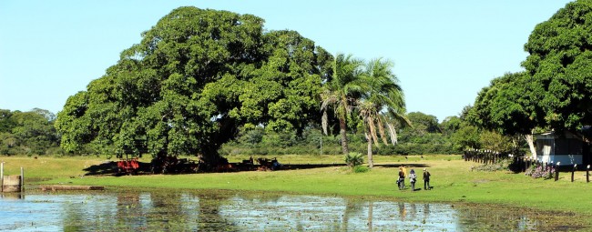 ABC do Pantanal - Fazenda São João 2