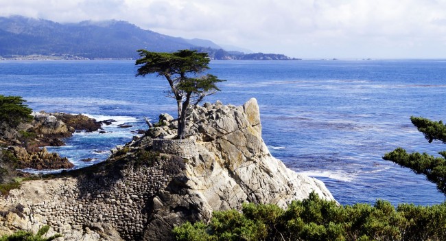 Road trip pela Califórnia de São Francisco a Monterey e Carmel - 16