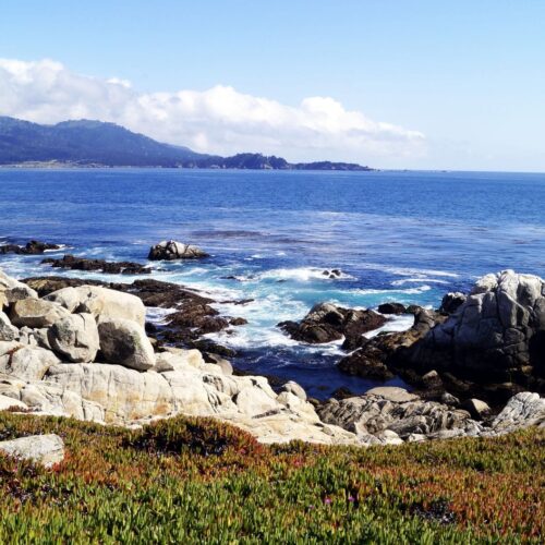 Road trip pela Califórnia de São Francisco a Monterey e Carmel - 17
