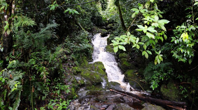 Cataratas de Gocta Amazonas Peru - 24