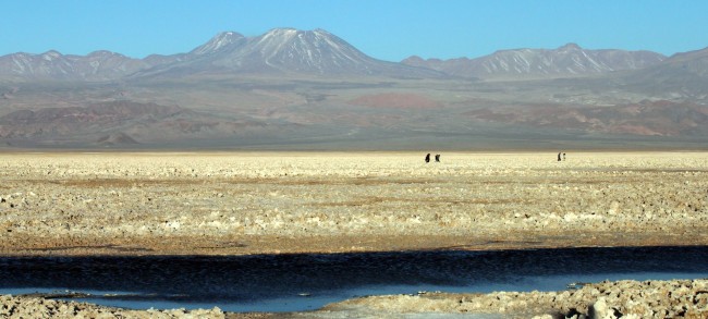 Passeios no Atacama - Salar do Atacama 10