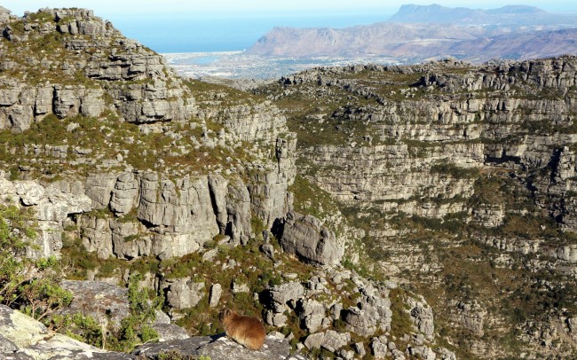 Table Mountain na Cidade do Cabo - paisagem 1