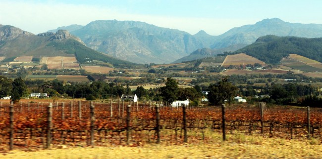 Vinícolas da África do Sul - Franschhoek - 3