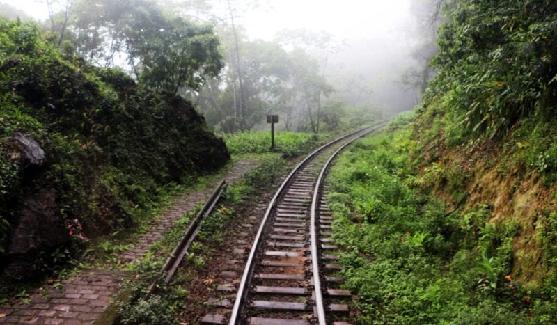 Trem de Curitiba a Morretes - 07