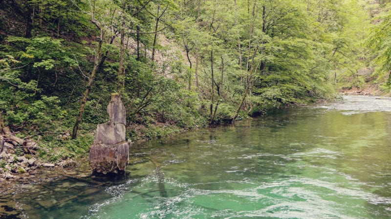 Qual é a melhor época para viajar para a Eslovênia? Primavera