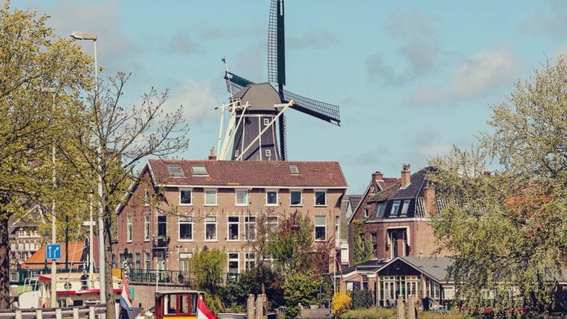 Destinos para conhecer na Holanda: Haarlem