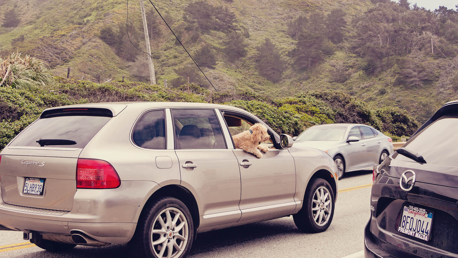 Como ir de San Francisco até Los Angeles, na Califórnia | Sundaycooks