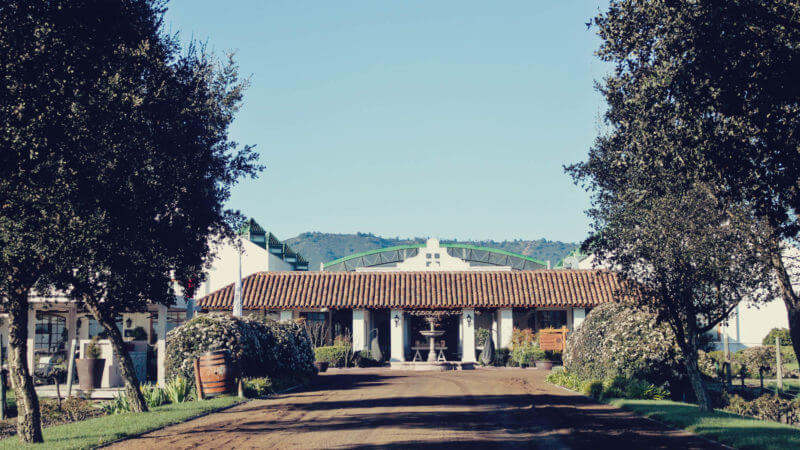 Casas del Bosque: vinícola perto de Santiago, no Chile - onde ir