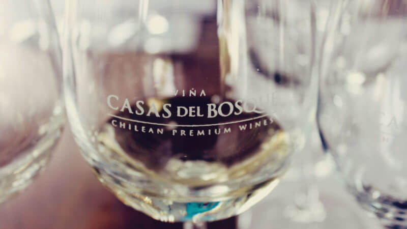 Casas del Bosque: vinícola perto de Santiago, no Chile - melhores vinhos