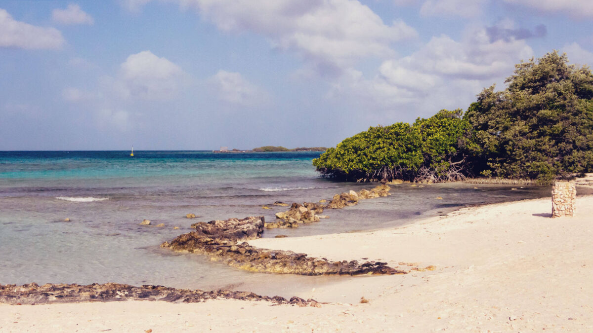 Como chegar até Aruba? Imagem de destaque com a praia de Mangel Halto