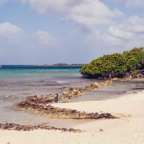 Como chegar até Aruba? Imagem de destaque com a praia de Mangel Halto