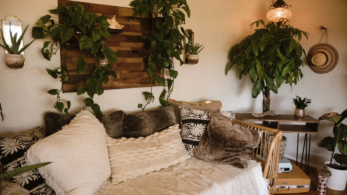 Sala mobiliada com plantas e acessórios nas paredes é um estilo bem aconchegante que normalmente encontramos no Airbnb. Mas antes de alugar vejas as regras de algumas cidades