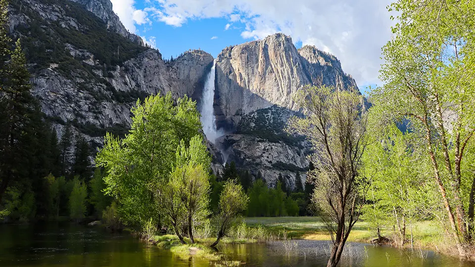 Quatro parques nacionais imperdíveis na Califórnia 5