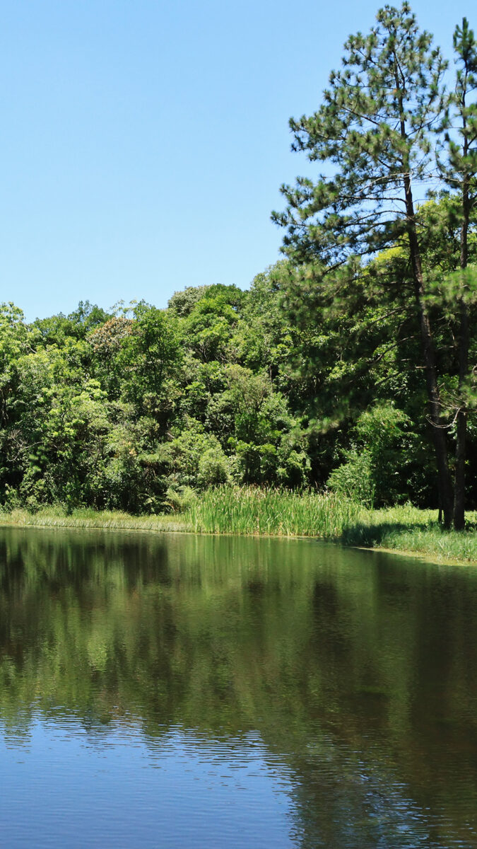 ecoturismo em São Paulo