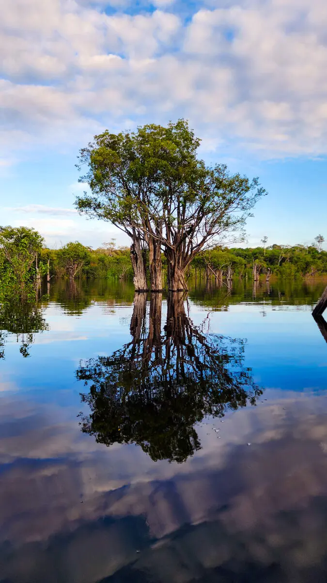 Expedição Kattere - viagem de barco pela Amazônia - espelho d'água