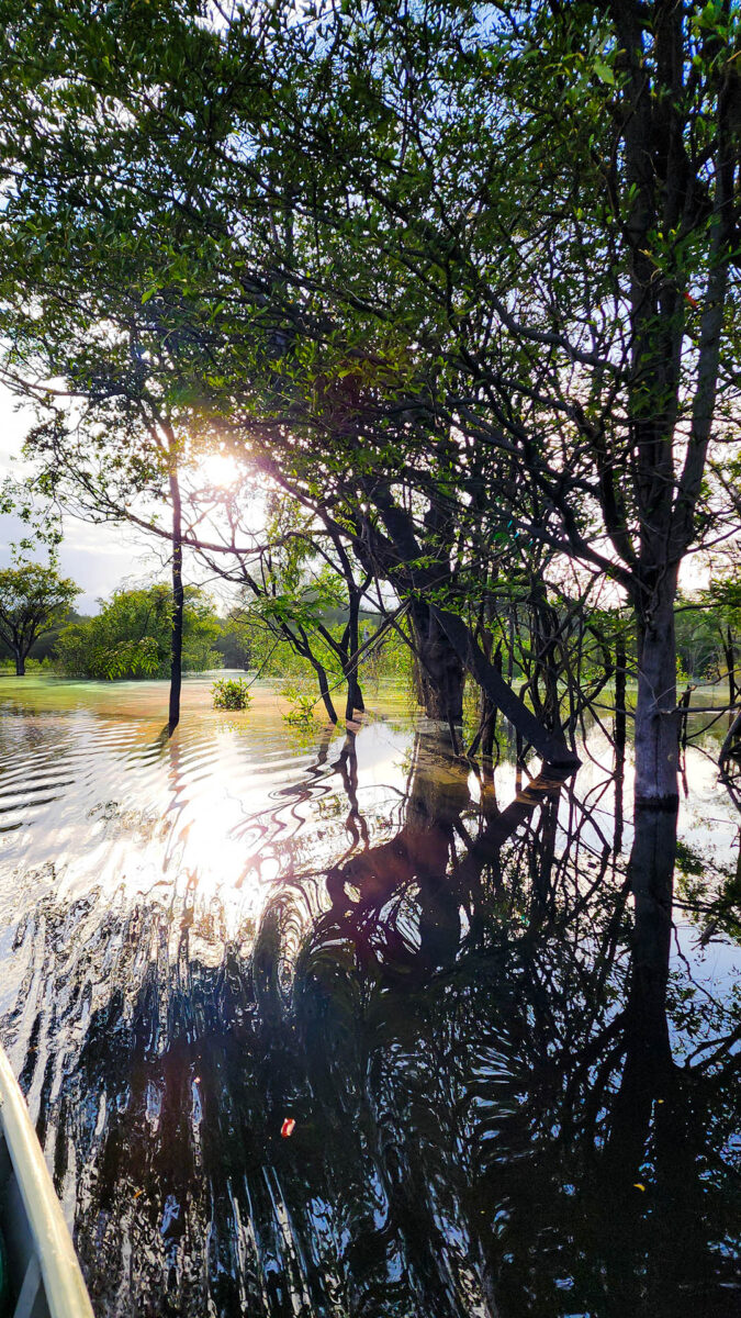 Expedição Kattere - viagem de barco pela Amazônia - nascer do sol