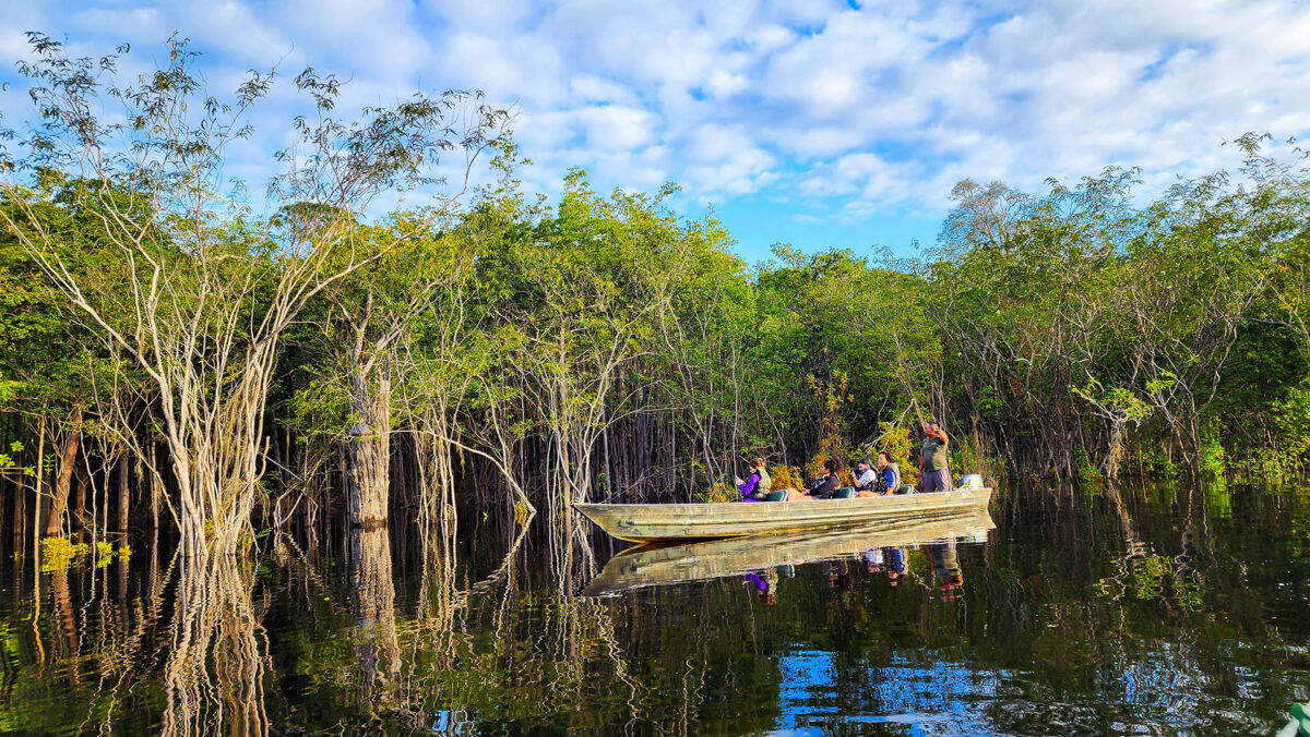 Expedição Kattere - viagem de barco pela Amazônia - passeios para conehcer a fauna e a flora