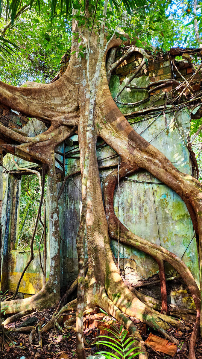 Expedição Kattere - viagem de barco pela Amazônia - passeio