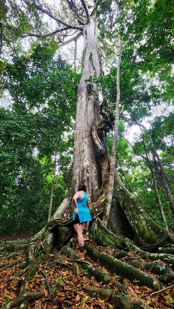 Expedição Kattere - viagem de barco pela Amazônia - parquena nacional do jaú