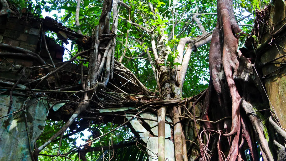 Expedição Kattere - viagem de barco pela Amazônia - cidade abandonada