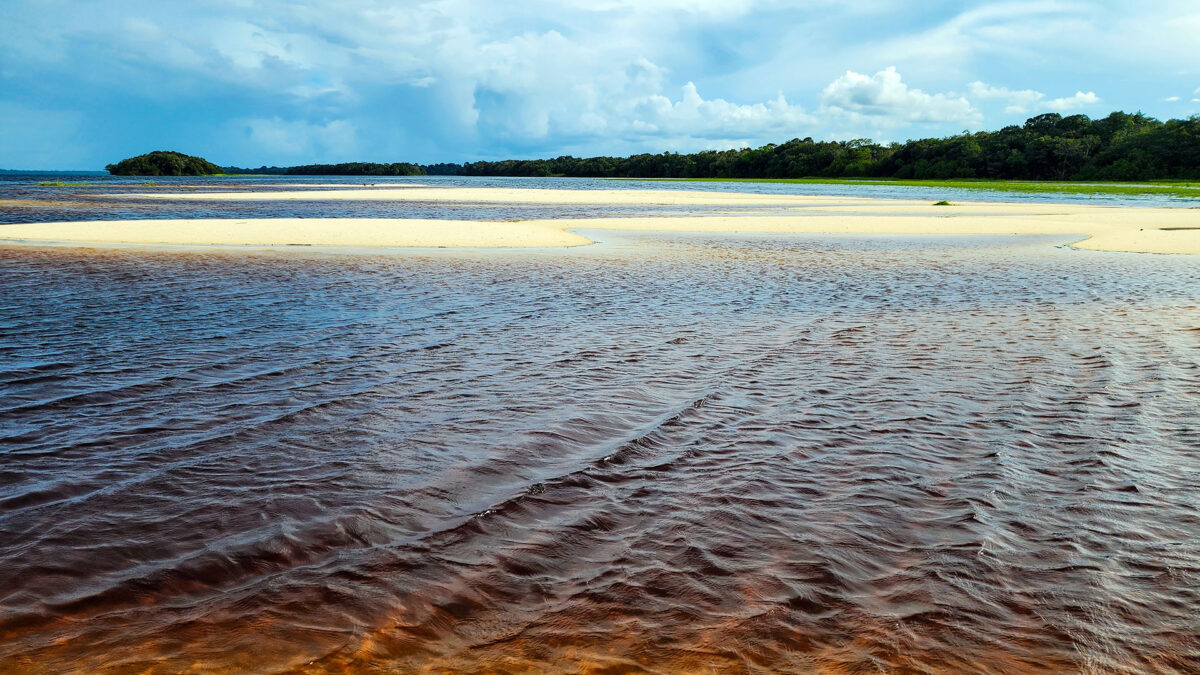 Expedição Kattere - viagem de barco pela Amazônia - praia de rio doce